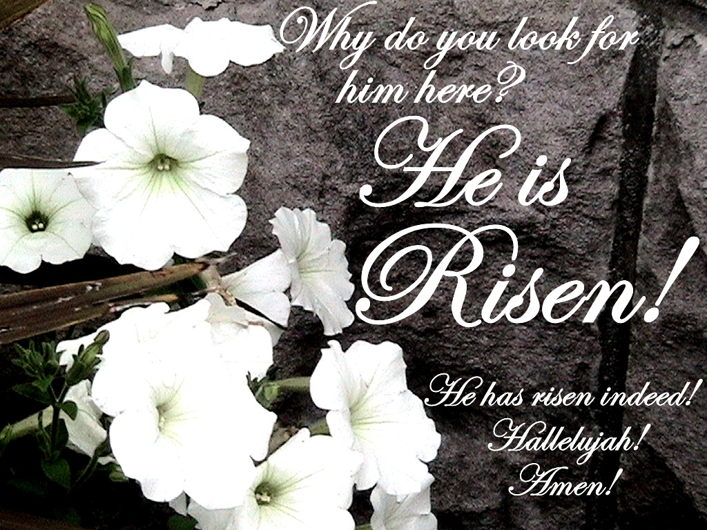 easter at rainy day rainbows 2024